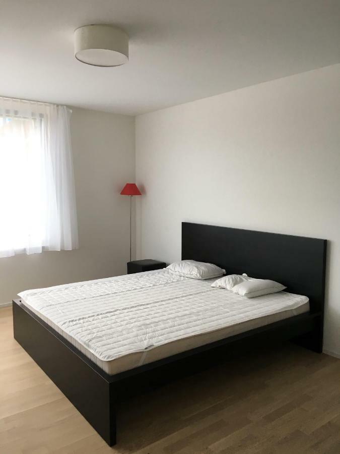 Close To Zuerich Centre And Airport 클로텐 외부 사진